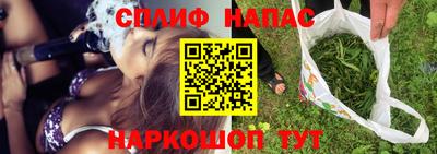 дмт Славгород
