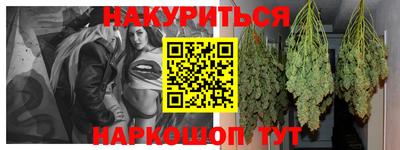 дмт Славгород
