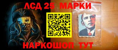 дмт Славгород